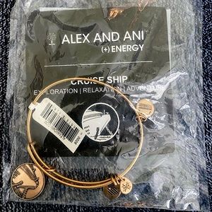 Alex and Ani cruise ship bangle bracelet Bnar